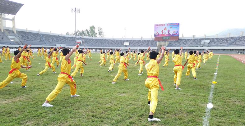 孩子去少林武校习武转学籍的方法